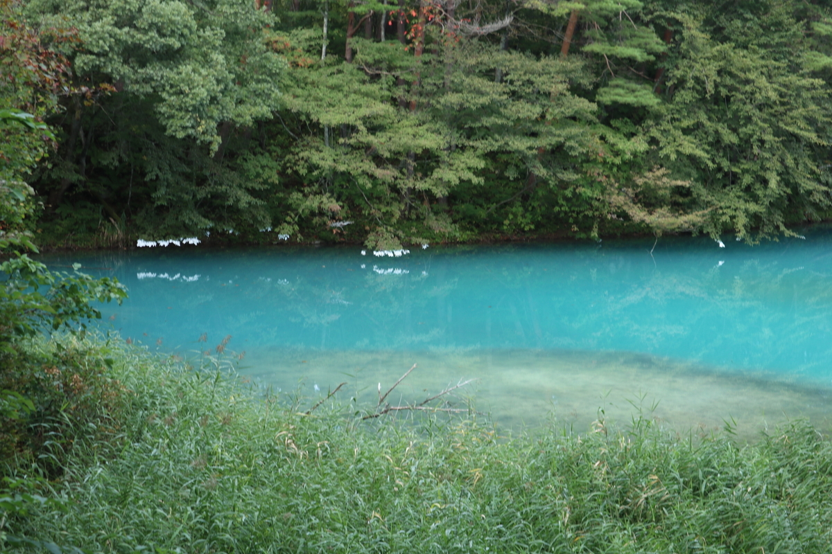 f:id:noramatsu:20211122225514j:plain