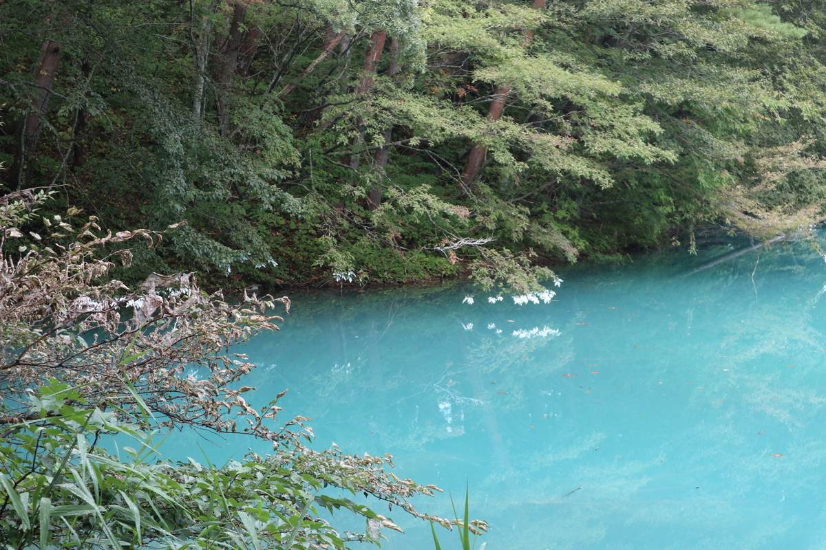 f:id:noramatsu:20211122225740j:plain