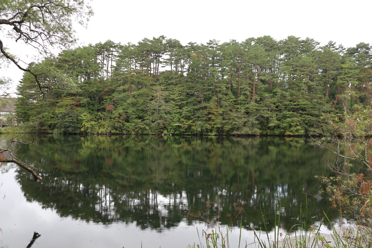 f:id:noramatsu:20211122230125j:plain