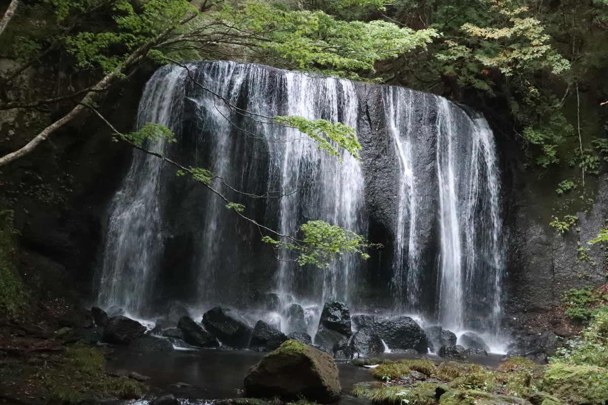 f:id:noramatsu:20211122231319j:plain