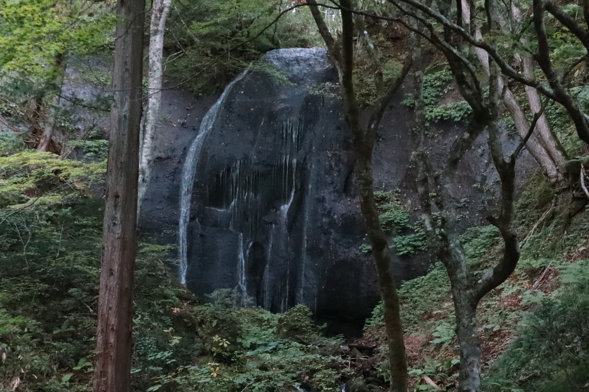 f:id:noramatsu:20211122231457j:plain