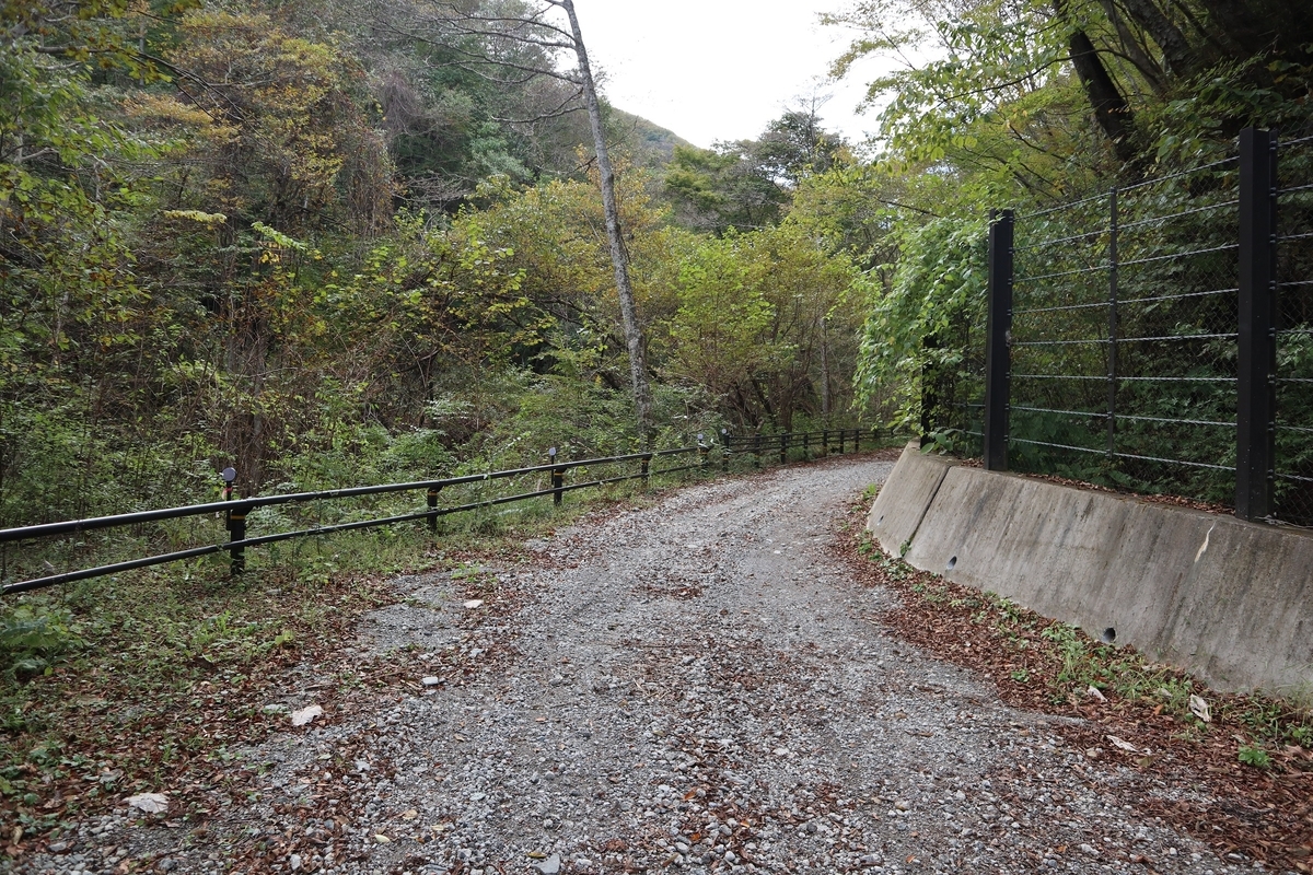 f:id:noramatsu:20211212215721j:plain