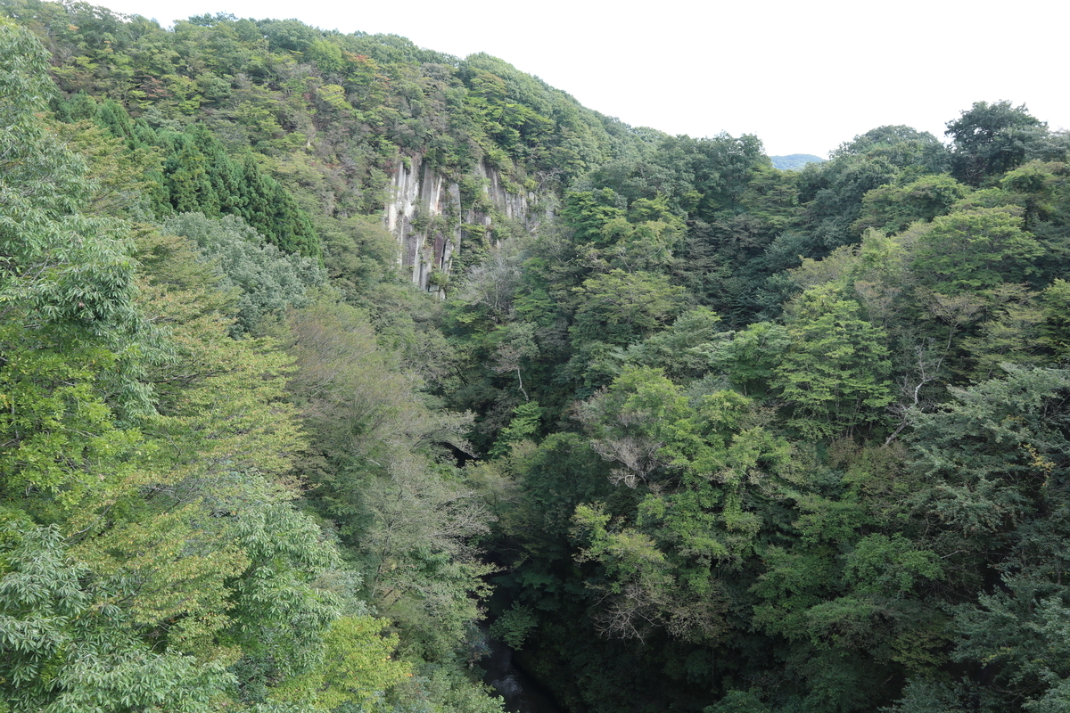 f:id:noramatsu:20211213205953j:plain