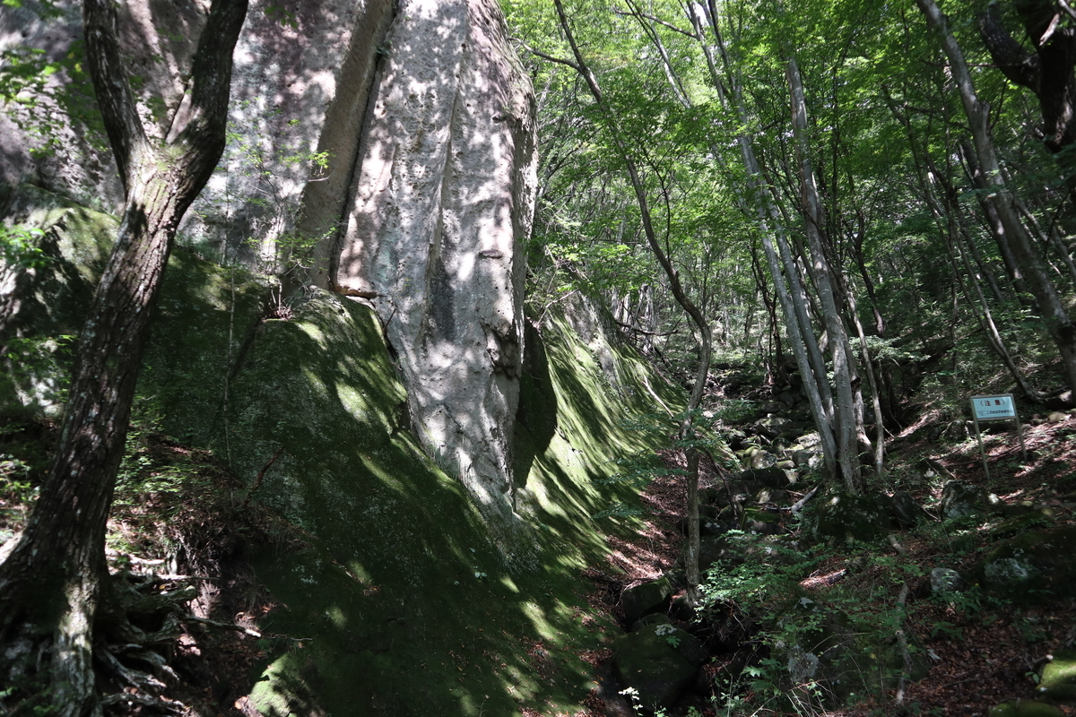 f:id:noramatsu:20211213212016j:plain