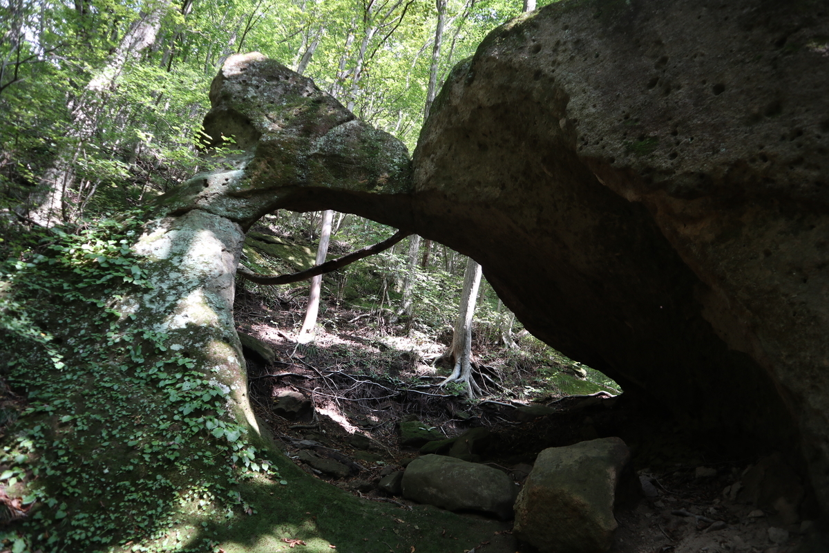 f:id:noramatsu:20211213212825j:plain