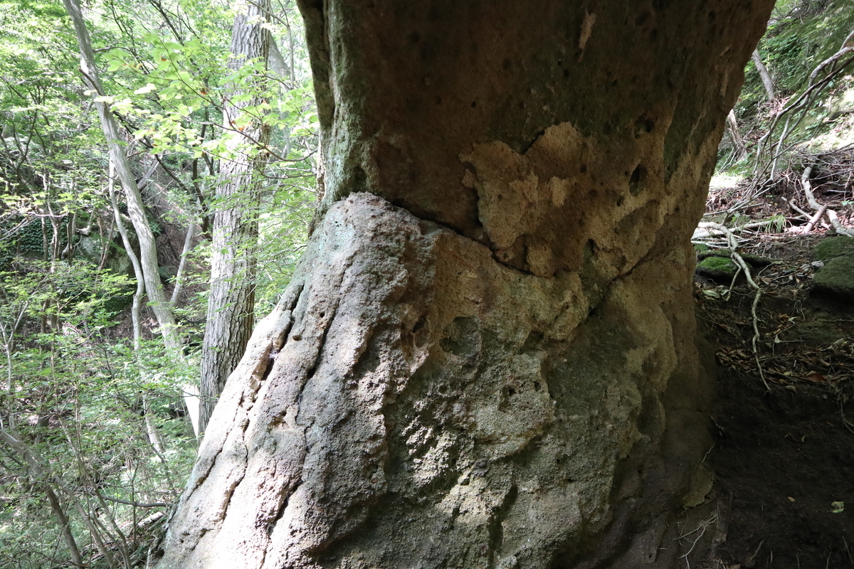 f:id:noramatsu:20211213213036j:plain