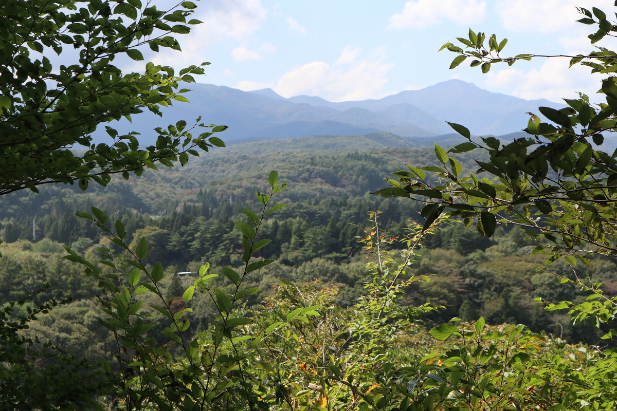 f:id:noramatsu:20211213214455j:plain