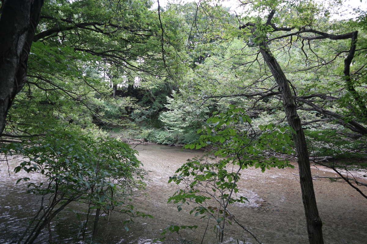 f:id:noramatsu:20211213231016j:plain