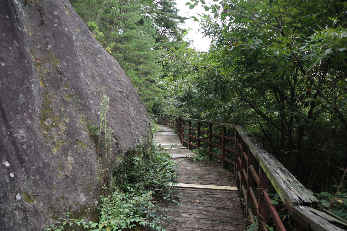 f:id:noramatsu:20211213232910j:plain