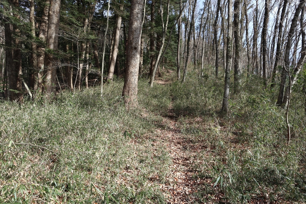 f:id:noramatsu:20220110230809j:plain