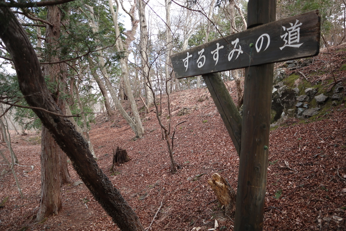 f:id:noramatsu:20220110234025j:plain