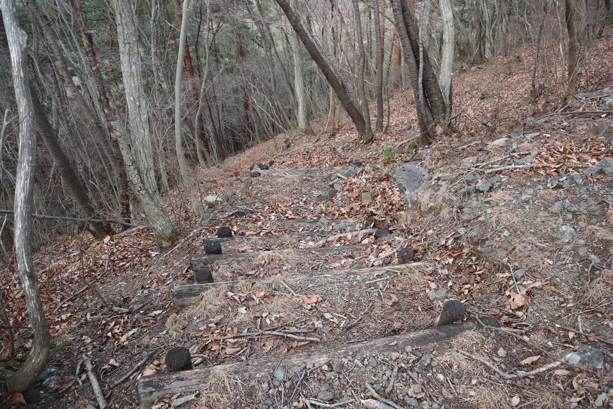 f:id:noramatsu:20220110234755j:plain