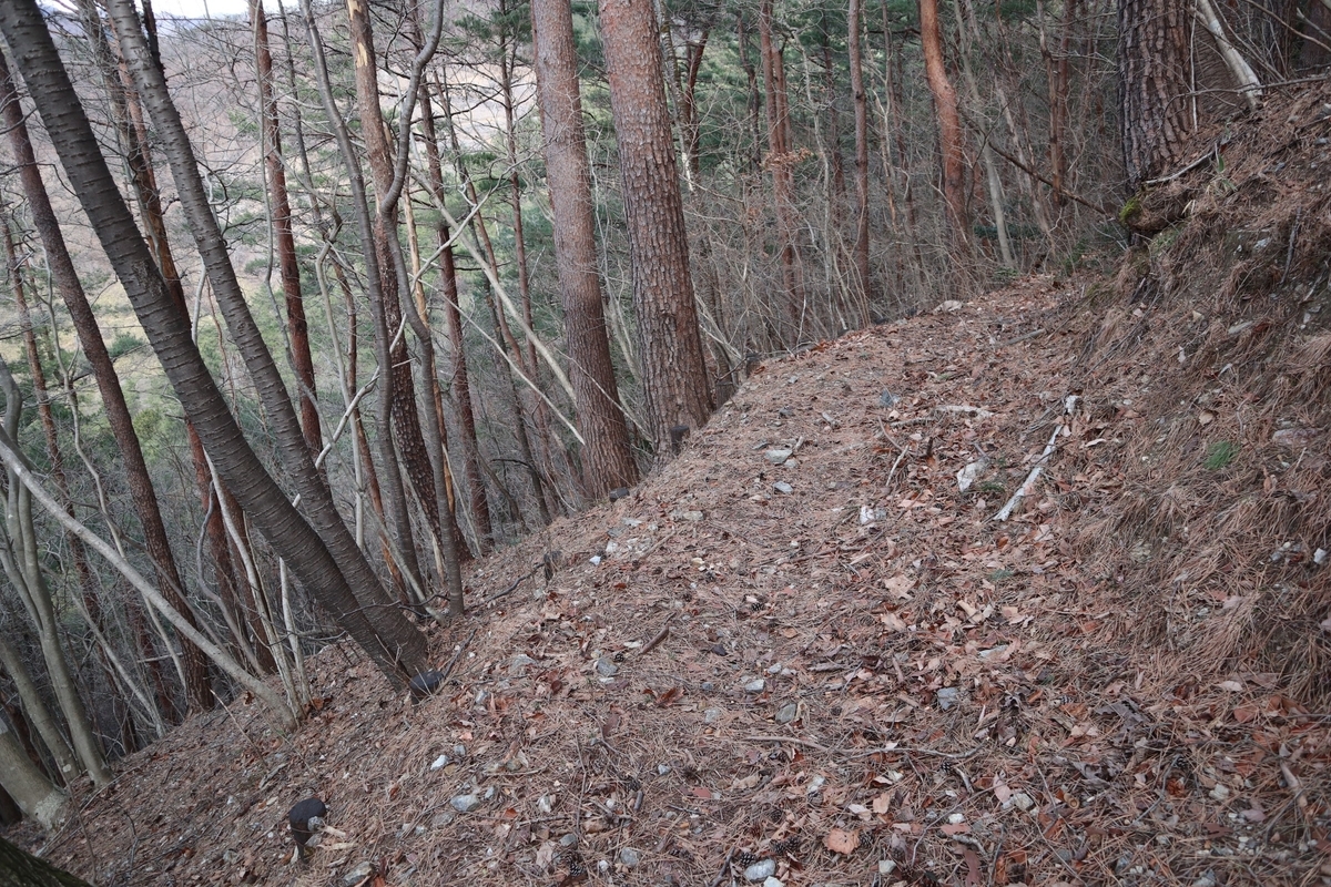 f:id:noramatsu:20220110234927j:plain