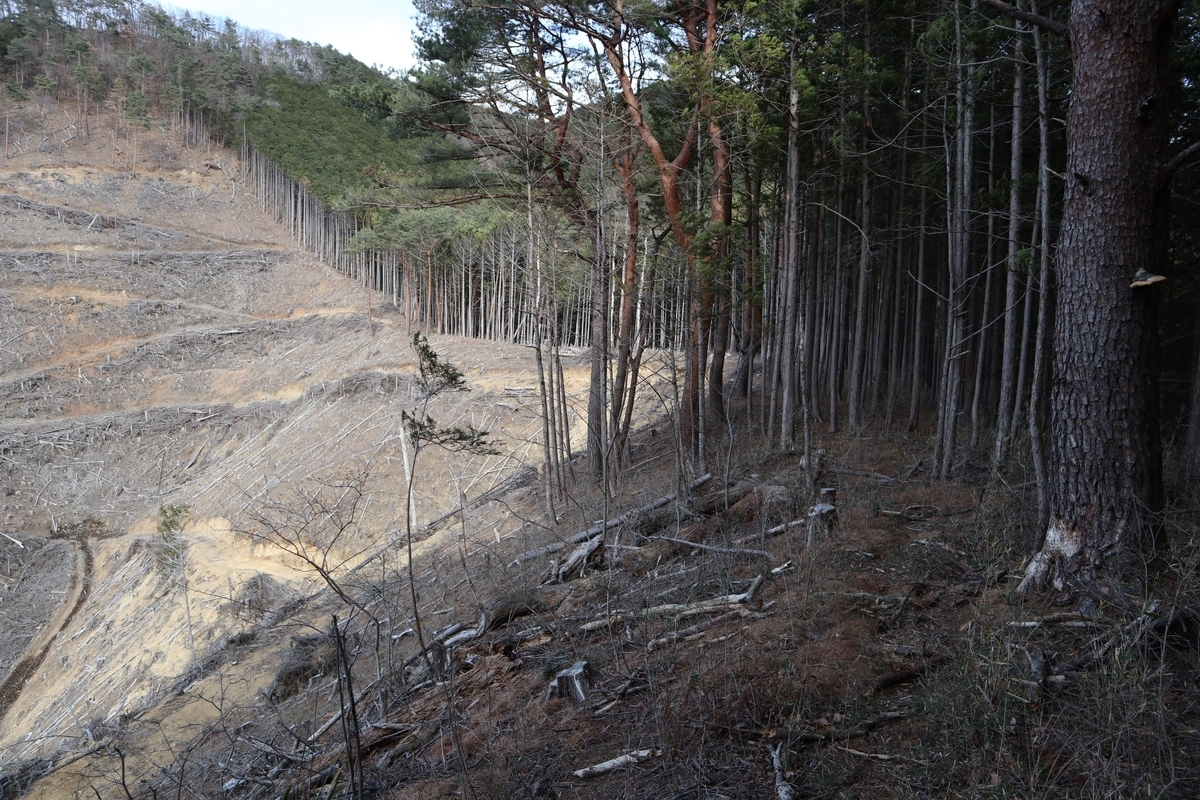 f:id:noramatsu:20220110235325j:plain