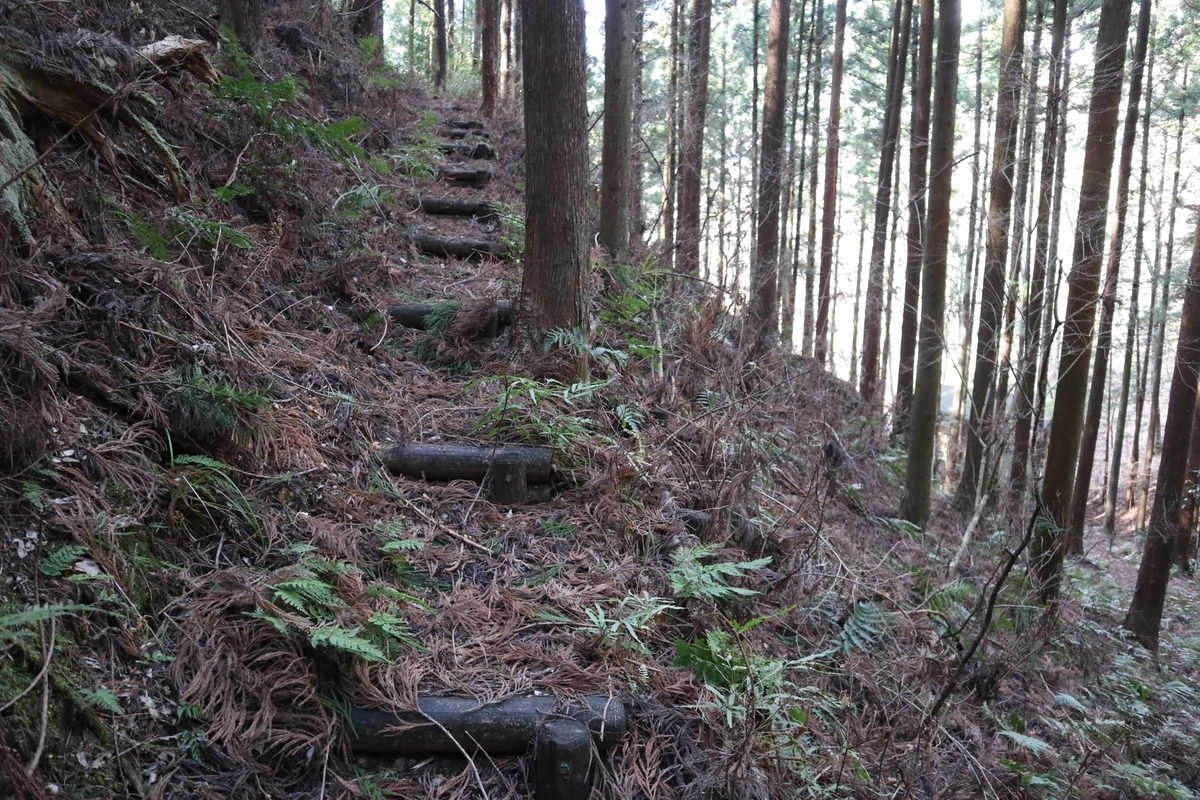 f:id:noramatsu:20220112233235j:plain