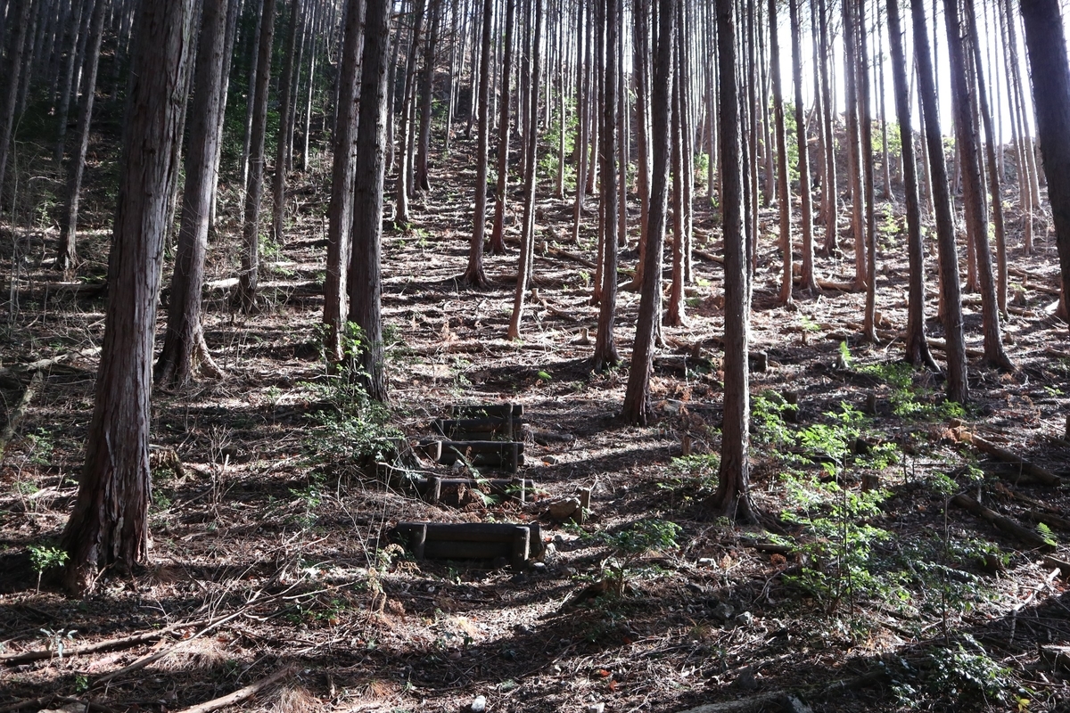 f:id:noramatsu:20220112233328j:plain