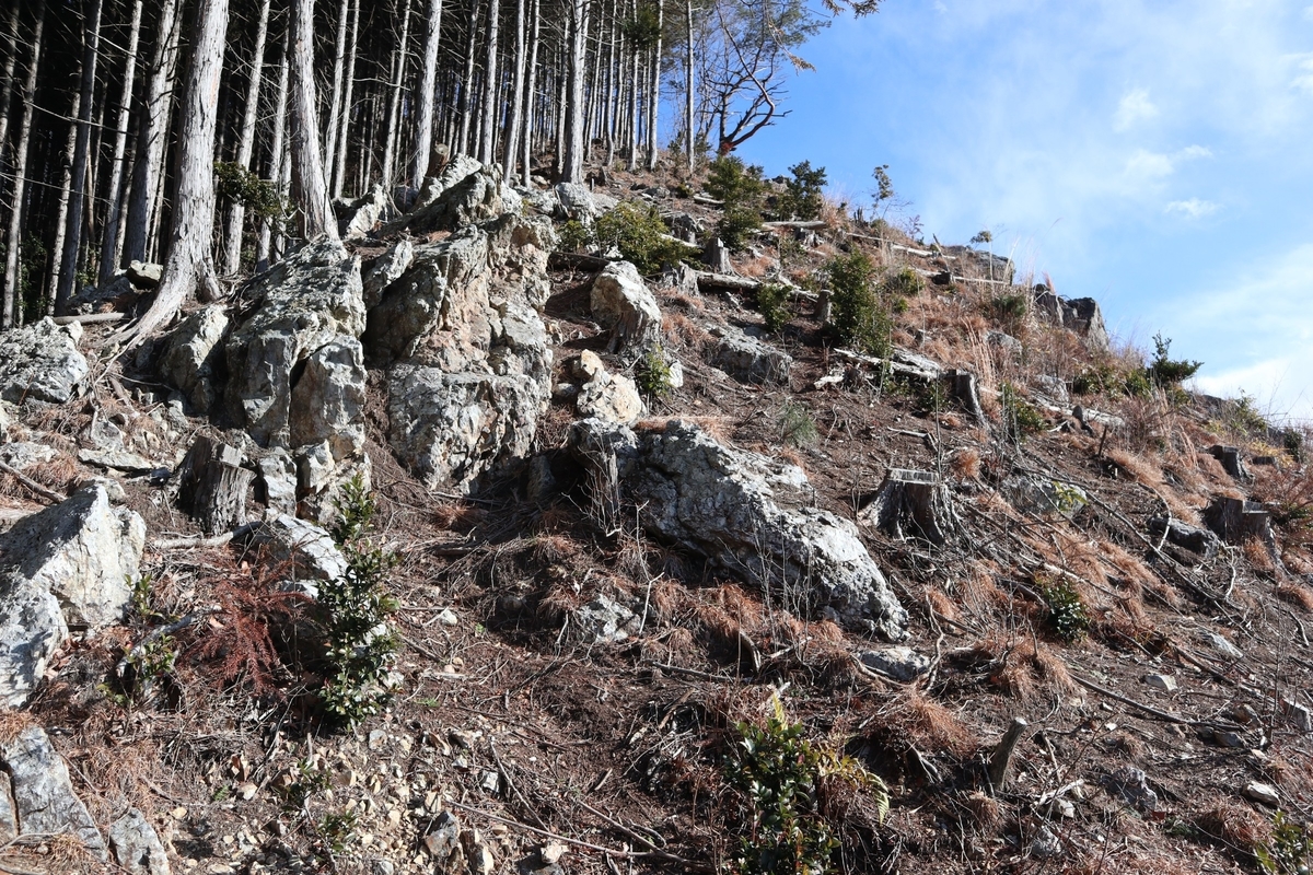 f:id:noramatsu:20220112234556j:plain