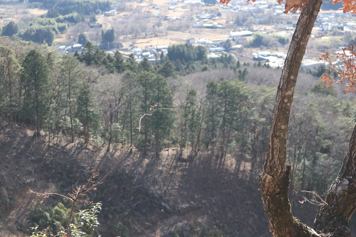 f:id:noramatsu:20220112235029j:plain