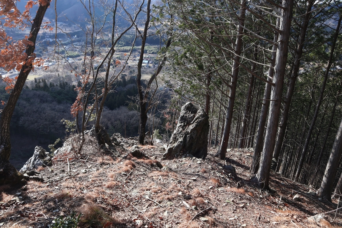 f:id:noramatsu:20220112235117j:plain