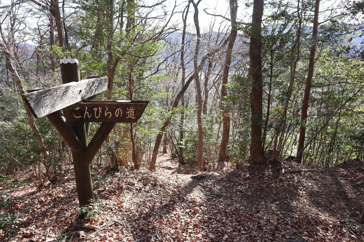 f:id:noramatsu:20220112235447j:plain