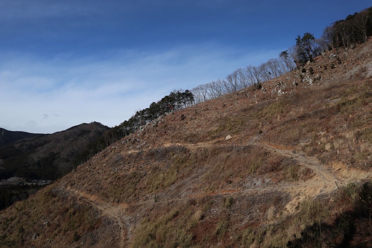 f:id:noramatsu:20220112235742j:plain