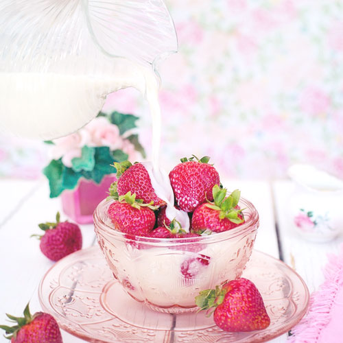 f:id:noramyao86:20190211061444j:plain f:id:noramyao86:20190211061444j:plain
