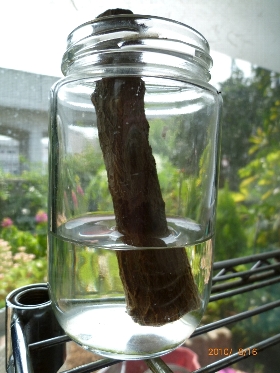 f:id:noraneko222:20100910001707j:image:left