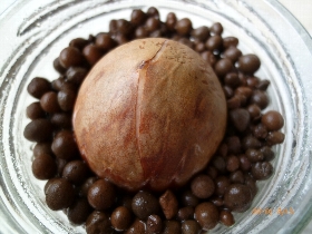 f:id:noraneko222:20101004002919j:image:left