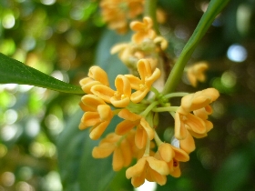f:id:noraneko222:20101009000758j:image:left