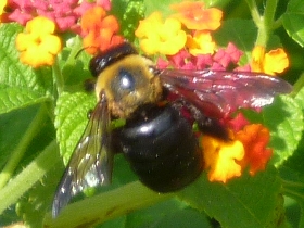f:id:noraneko222:20101010001945j:image f:id:noraneko222:20101010001945j:image