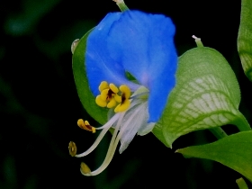f:id:noraneko222:20101012000841j:image