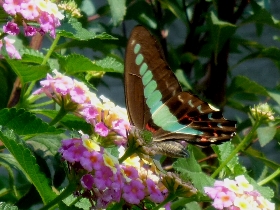f:id:noraneko222:20101015001245j:image f:id:noraneko222:20101015001245j:image