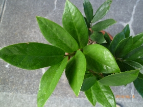 f:id:noraneko222:20101018002109j:image f:id:noraneko222:20101018002109j:image
