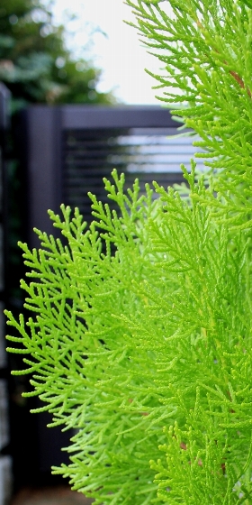 f:id:noraneko222:20101022001536j:image f:id:noraneko222:20101022001536j:image