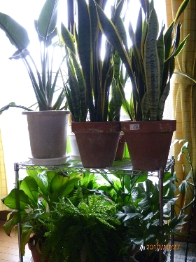 f:id:noraneko222:20101028000121j:image:left f:id:noraneko222:20101028000121j:image:left
