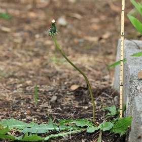 f:id:noraneko222:20101208141321j:image