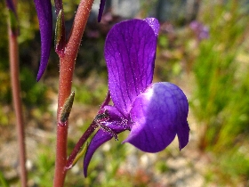 f:id:noraneko222:20110319215629j:image f:id:noraneko222:20110319215629j:image