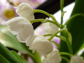 f:id:noraneko222:20110326105123j:image