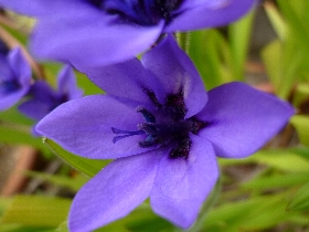 f:id:noraneko222:20110501200304j:image