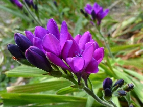 f:id:noraneko222:20110501200308j:image