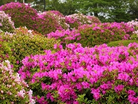 f:id:noraneko222:20110501201006j:image