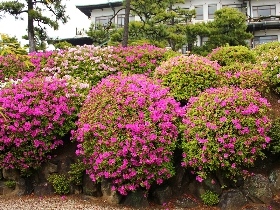 f:id:noraneko222:20110501201007j:image