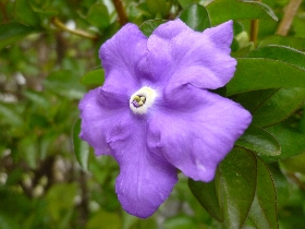 f:id:noraneko222:20110507203336j:image:left