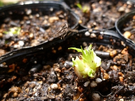 f:id:noraneko222:20110514215456j:image