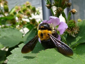 f:id:noraneko222:20110521170715j:image f:id:noraneko222:20110521170715j:image