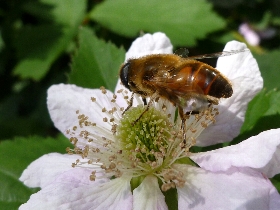 f:id:noraneko222:20110521170719j:image f:id:noraneko222:20110521170719j:image