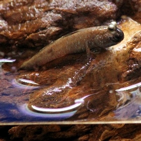 f:id:noraneko222:20110522210634j:image