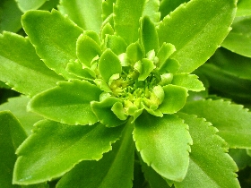 f:id:noraneko222:20110524192124j:image