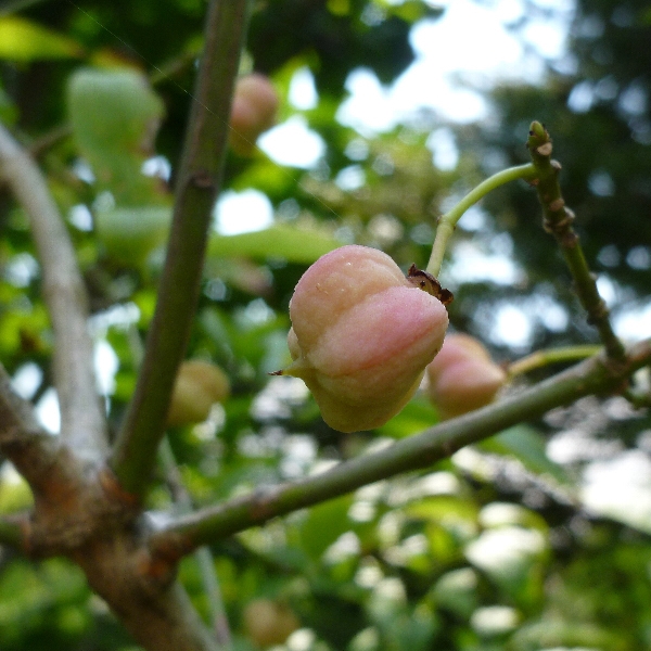 f:id:noraneko222:20110930195652j:image f:id:noraneko222:20110930195652j:image