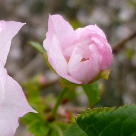 f:id:noraneko222:20111013210611j:image